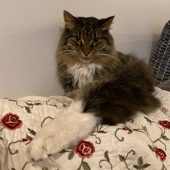 Meet your Posher, Sara - Picture 4 of 9